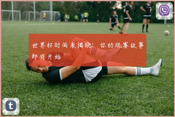 世界杯时间表揭晓：你的观赛故事即将开始