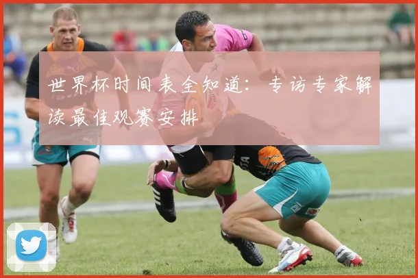 世界杯时间表全知道：专访专家解读最佳观赛安排